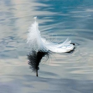 Nathalie Ducos Sophrologue : La sophrologie